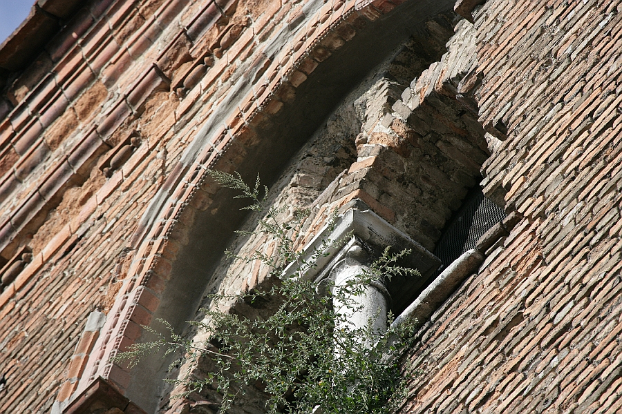 Img 124.jpg